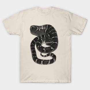 Snake Dot T-Shirt